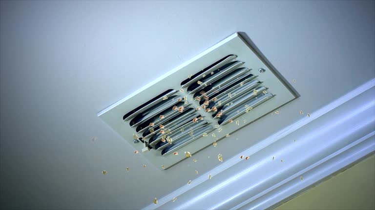 Best HVAC Air Duct Cleaning  in Lansdowne, MD