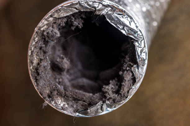 Best Professional Duct Cleaning Services  in Lansdowne, MD